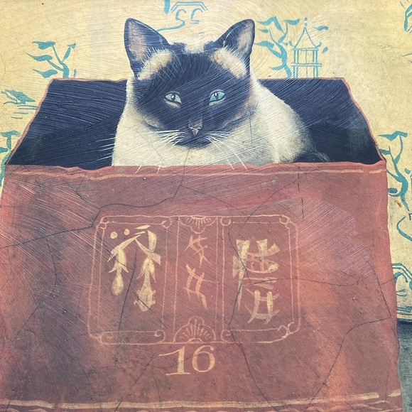 2 Miss Meka Cat Picture Paul Stagg The Bombay Company Stephanie Hoppen - Picture 4 of 16